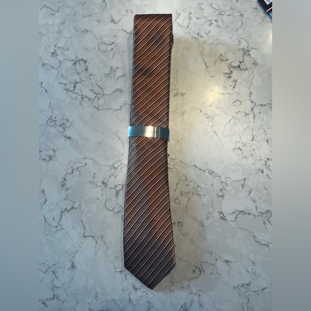Alfani Brown Striped Tie with Silver Clip